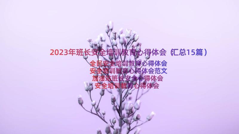 2023年班长安全培训教育心得体会（汇总15篇）