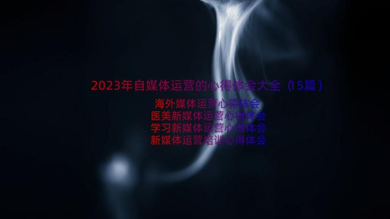 2023年自媒体运营的心得体会大全（15篇）