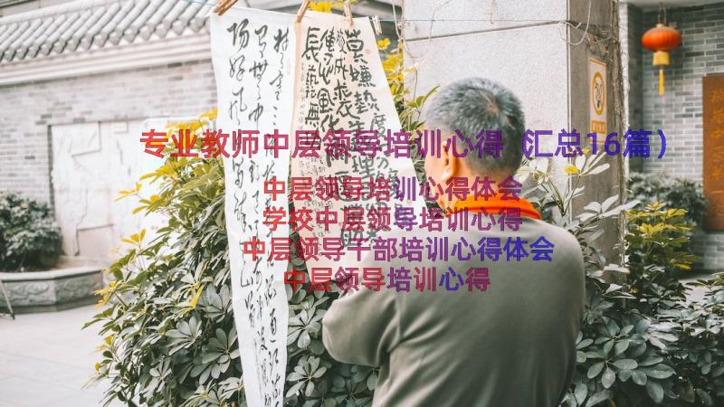 专业教师中层领导培训心得（汇总16篇）