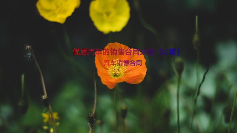 优质汽车的销售合同大全（18篇）