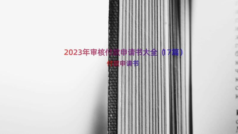 2023年审核付款申请书大全（17篇）