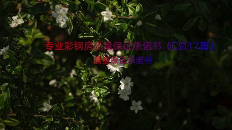 专业彩钢房质量保证承诺书（汇总17篇）