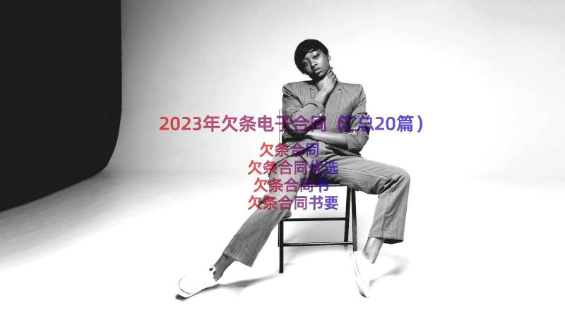 2023年欠条电子合同（汇总20篇）