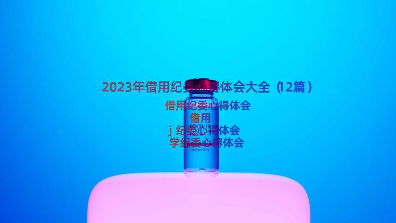 2023年借用纪委心得体会大全（12篇）