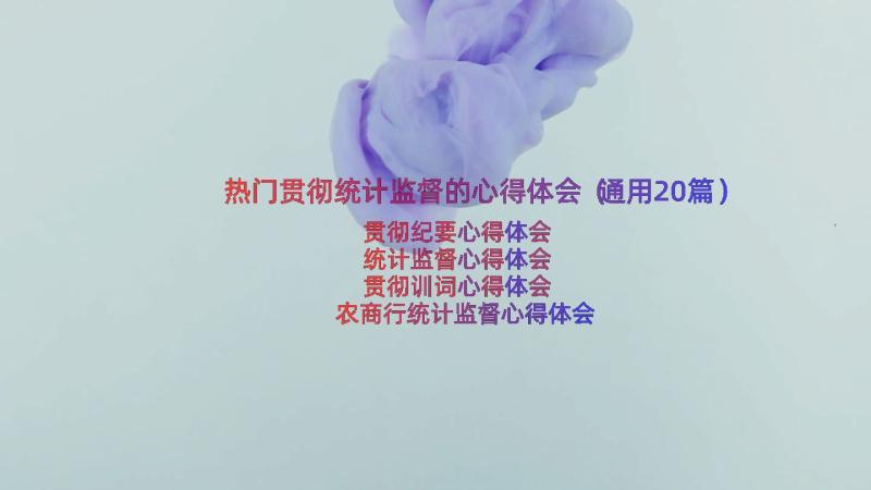 热门贯彻统计监督的心得体会（通用20篇）