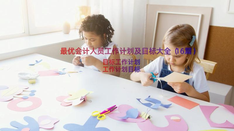 最优会计人员工作计划及目标大全（16篇）