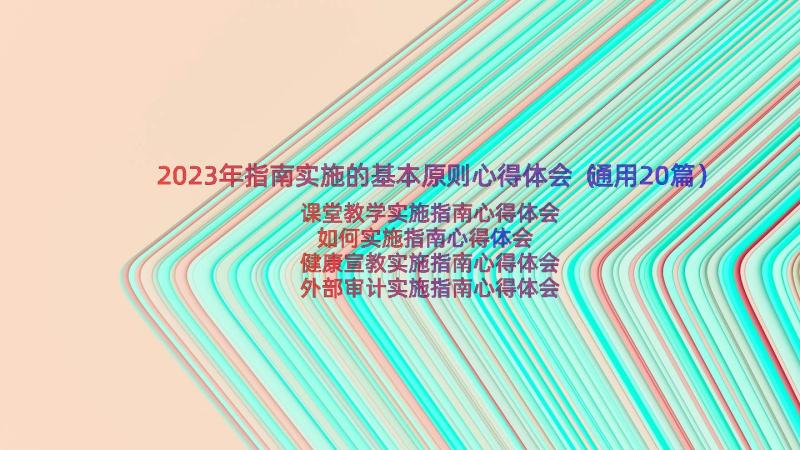 2023年指南实施的基本原则心得体会（通用20篇）