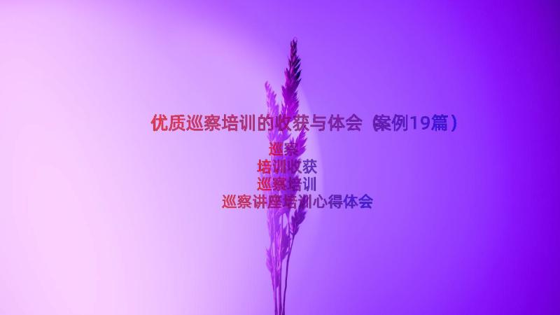 优质巡察培训的收获与体会（案例19篇）