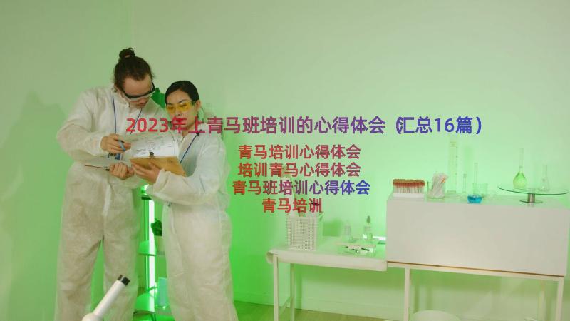 2023年上青马班培训的心得体会（汇总16篇）