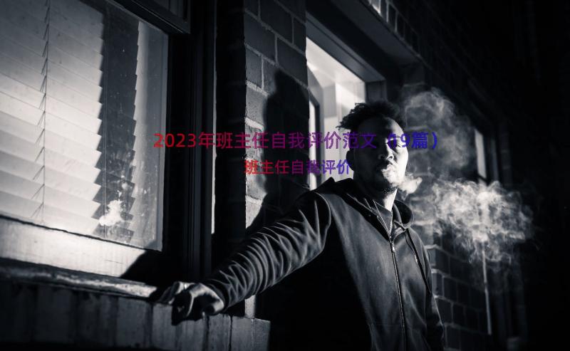 2023年班主任自我评价范文（19篇）