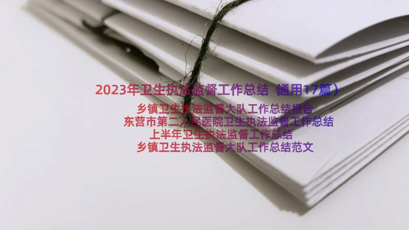 2023年卫生执法监督工作总结（通用17篇）