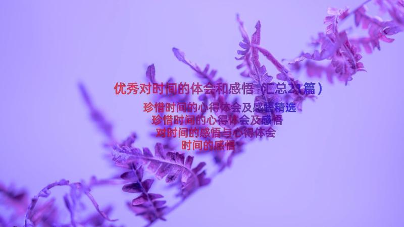 优秀对时间的体会和感悟（汇总21篇）