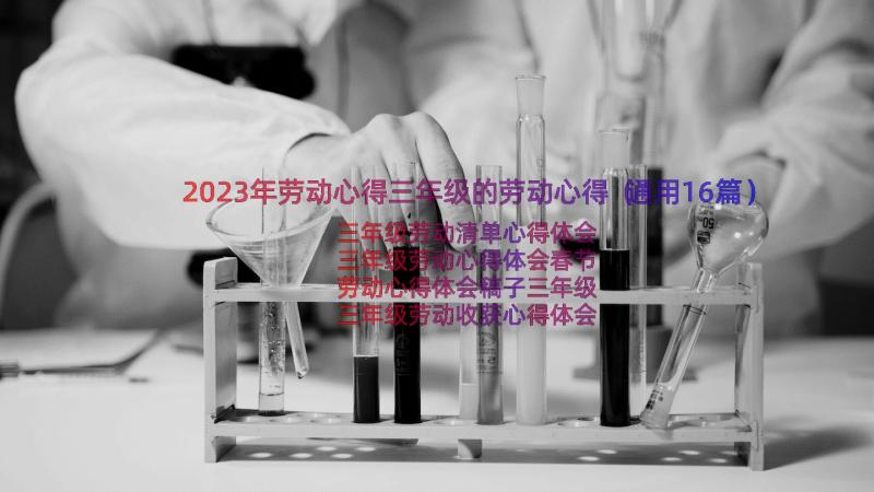 2023年劳动心得三年级的劳动心得（通用16篇）