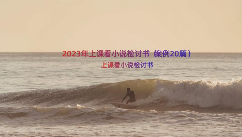 2023年上课看小说检讨书（案例20篇）