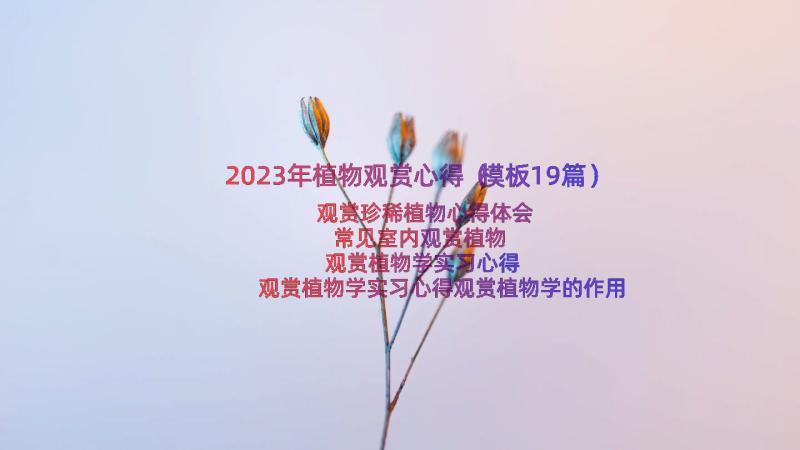 2023年植物观赏心得（模板19篇）