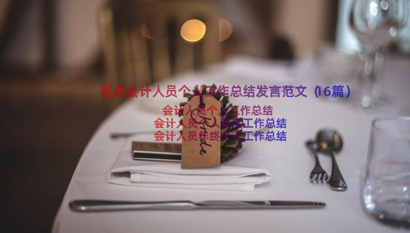 优质会计人员个人工作总结发言范文（16篇）