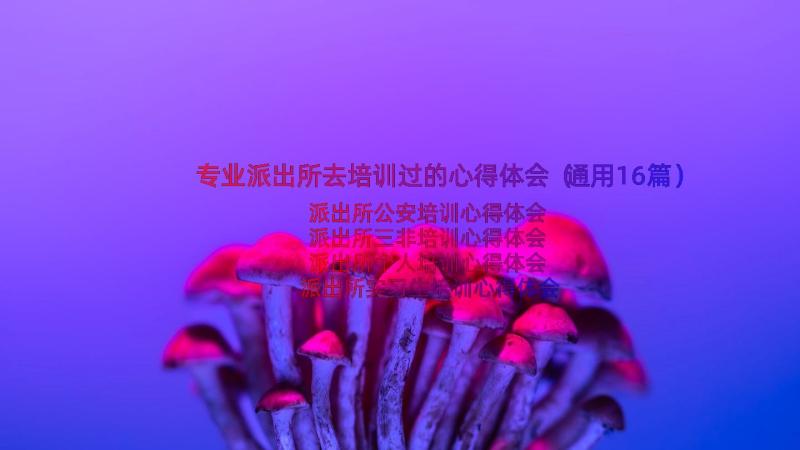 专业派出所去培训过的心得体会（通用16篇）