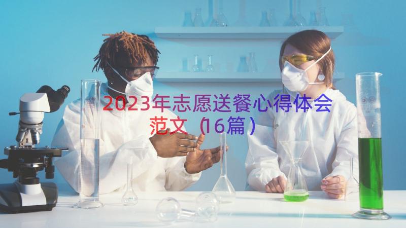 2023年志愿送餐心得体会范文（16篇）