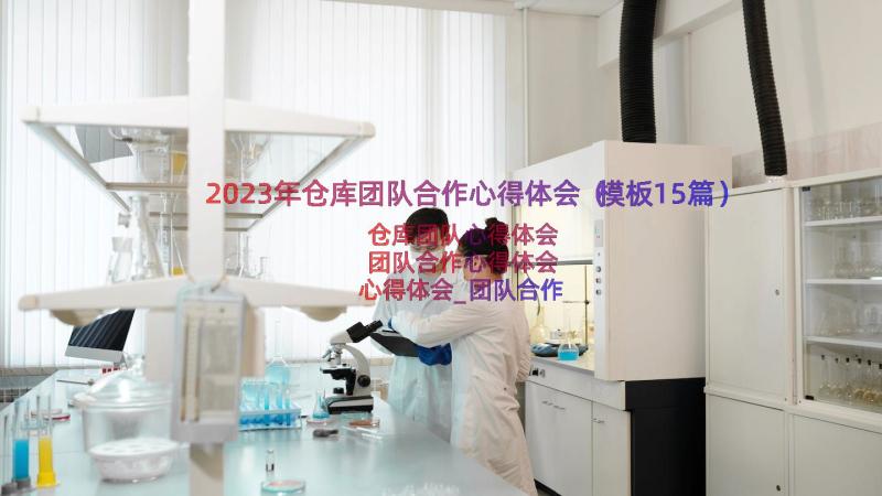 2023年仓库团队合作心得体会（模板15篇）