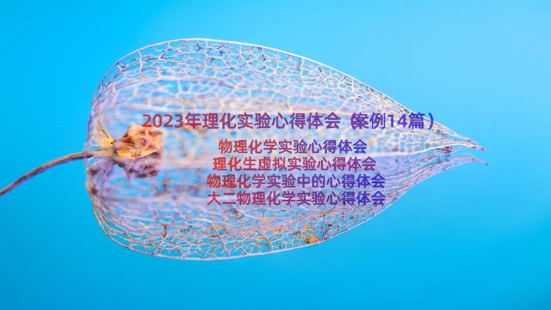 2023年理化实验心得体会（案例14篇）