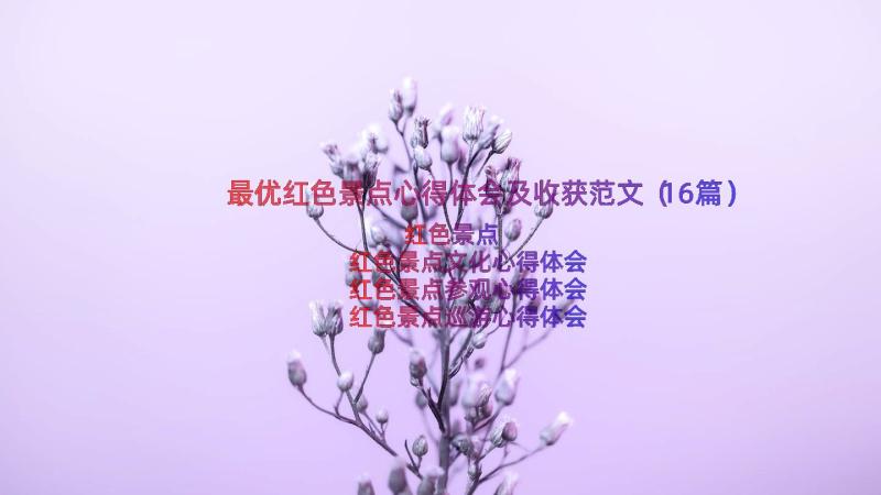 最优红色景点心得体会及收获范文（16篇）