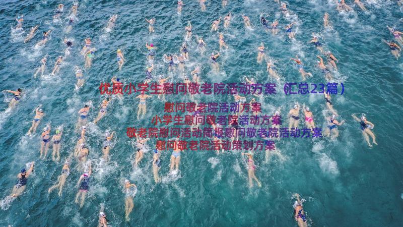 优质小学生慰问敬老院活动方案（汇总23篇）