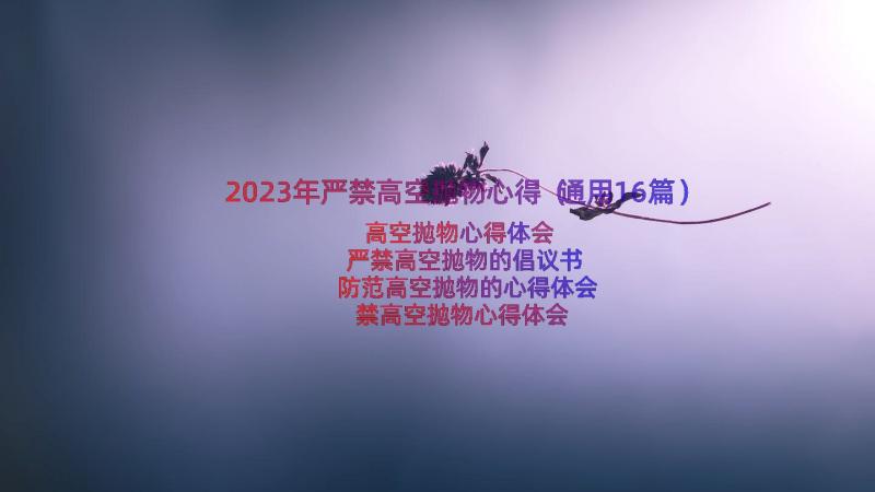 2023年严禁高空抛物心得（通用16篇）