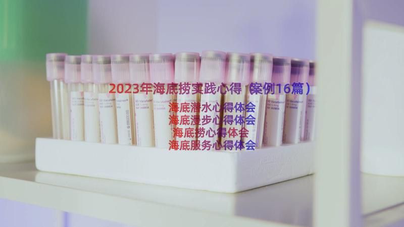 2023年海底捞实践心得（案例16篇）