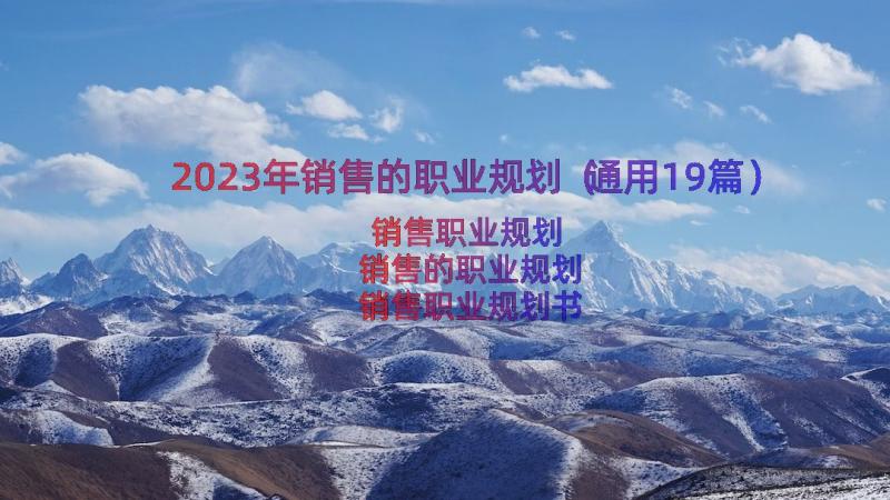 2023年销售的职业规划（通用19篇）