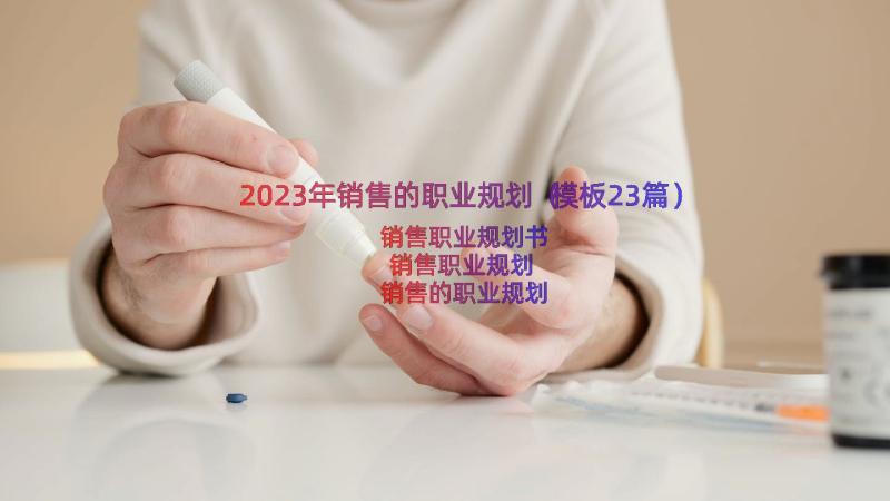 2023年销售的职业规划（模板23篇）