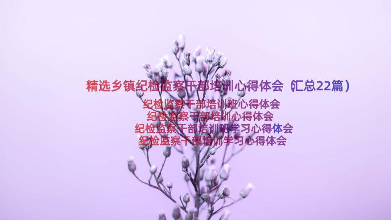 精选乡镇纪检监察干部培训心得体会（汇总22篇）