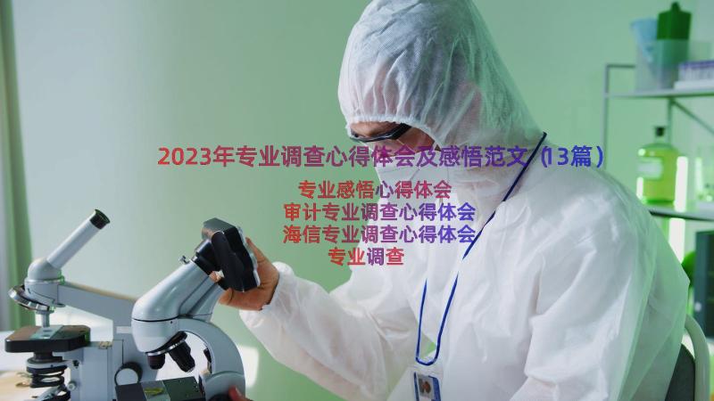 2023年专业调查心得体会及感悟范文（13篇）