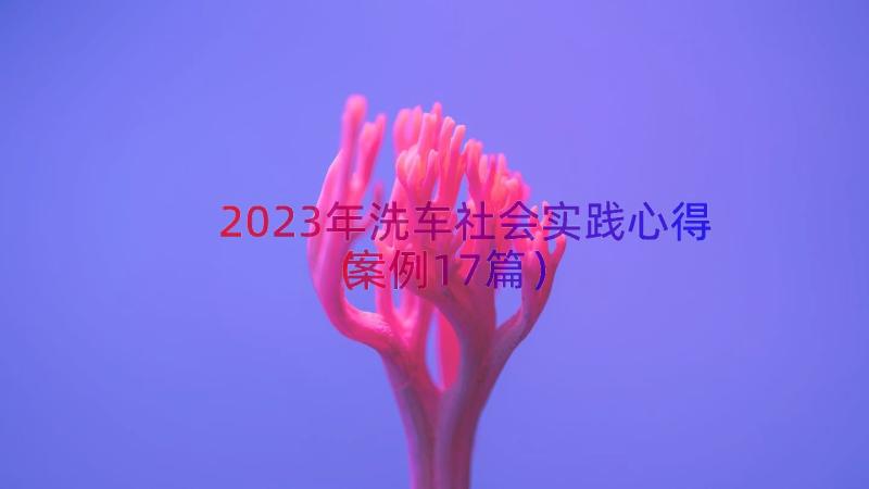 2023年洗车社会实践心得（案例17篇）