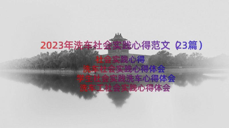 2023年洗车社会实践心得范文（23篇）