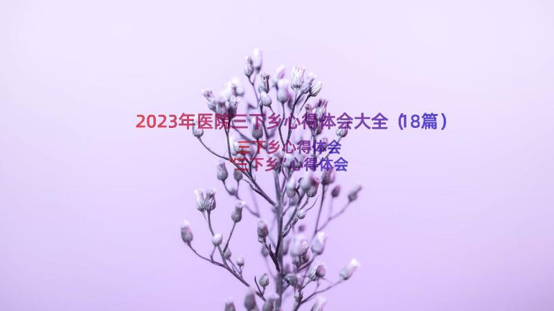 2023年医院三下乡心得体会大全（18篇）