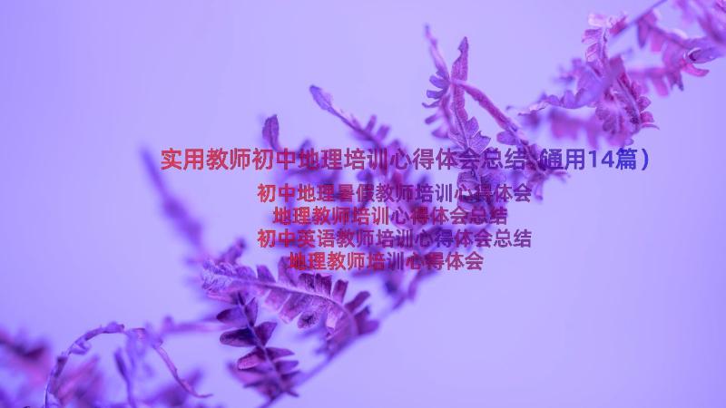 实用教师初中地理培训心得体会总结（通用14篇）