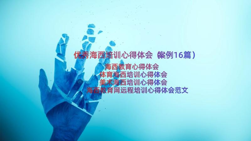 优秀海西培训心得体会（案例16篇）