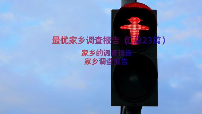 最优家乡调查报告（汇总23篇）