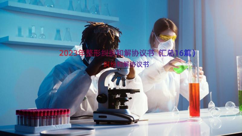 2023年整形纠纷和解协议书（汇总16篇）