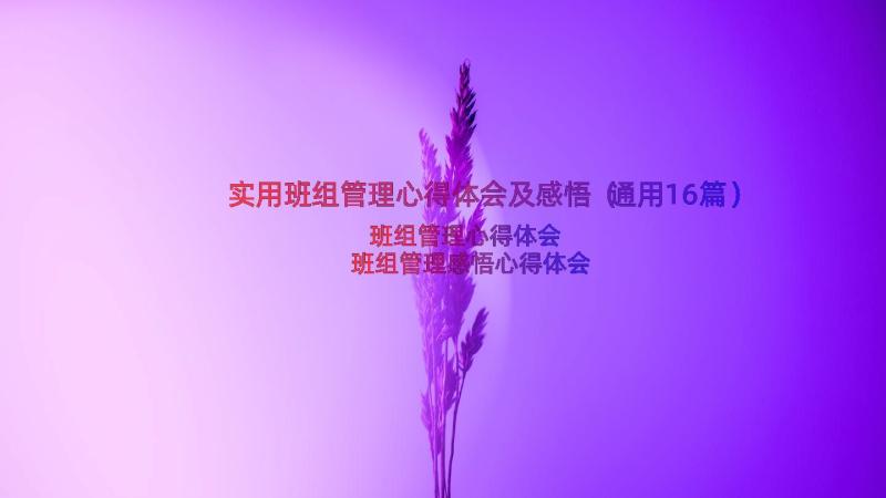 实用班组管理心得体会及感悟（通用16篇）