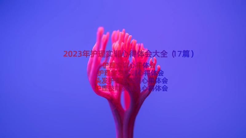 2023年护理实训心得体会大全（17篇）