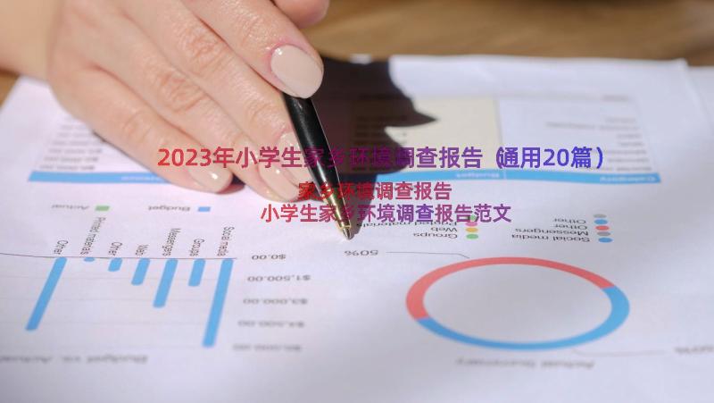 2023年小学生家乡环境调查报告（通用20篇）