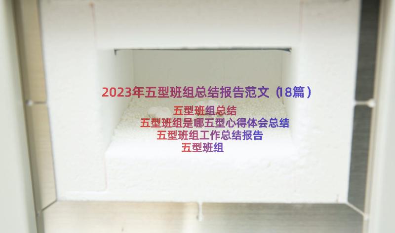 2023年五型班组总结报告范文（18篇）