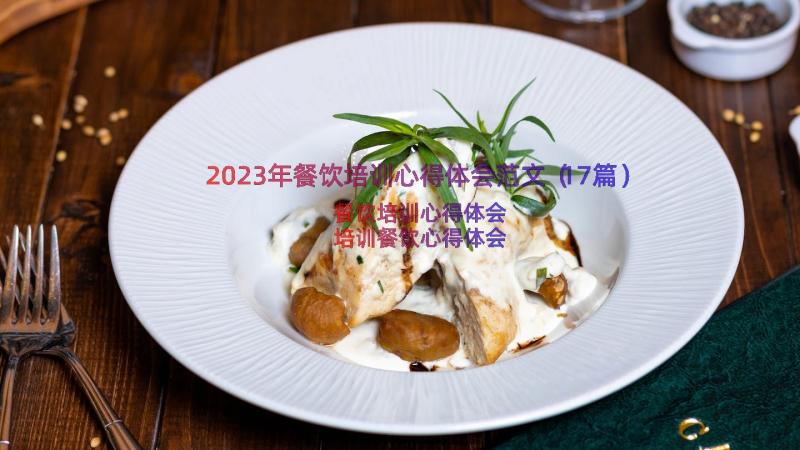 2023年餐饮培训心得体会范文（17篇）