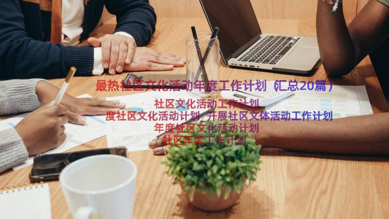 最热社区文化活动年度工作计划（汇总20篇）