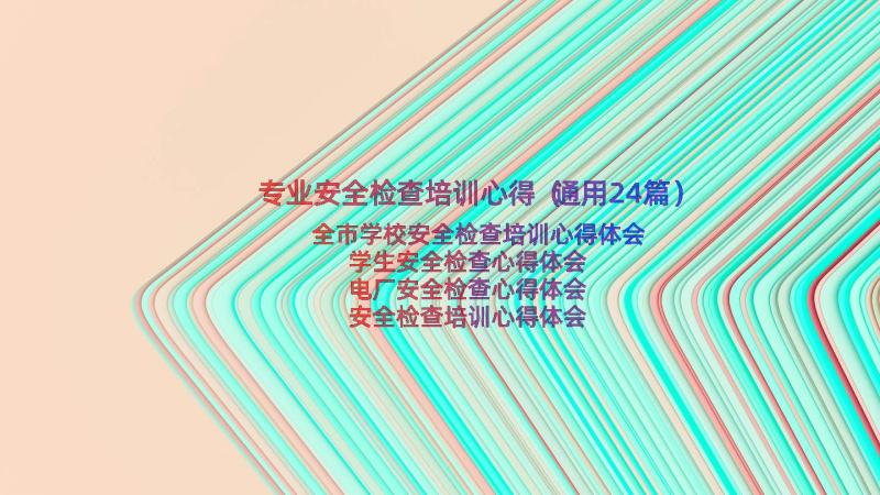 专业安全检查培训心得（通用24篇）