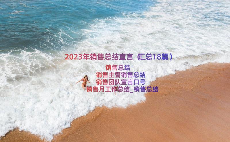 2023年销售总结宣言（汇总18篇）