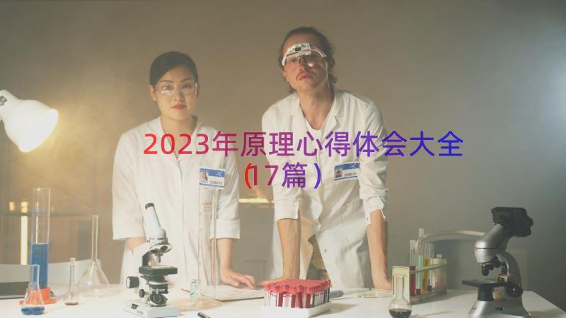 2023年原理心得体会大全（17篇）