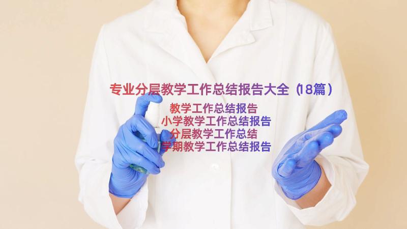 专业分层教学工作总结报告大全（18篇）