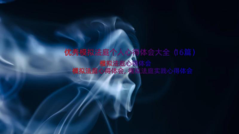 优秀模拟法庭个人心得体会大全（16篇）